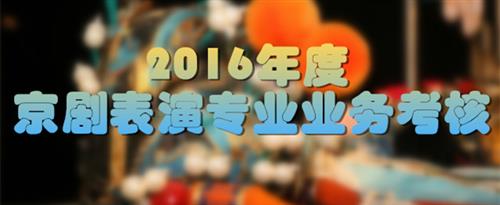 爆操95美女国家京剧院2016年度京剧表演专业业务考...